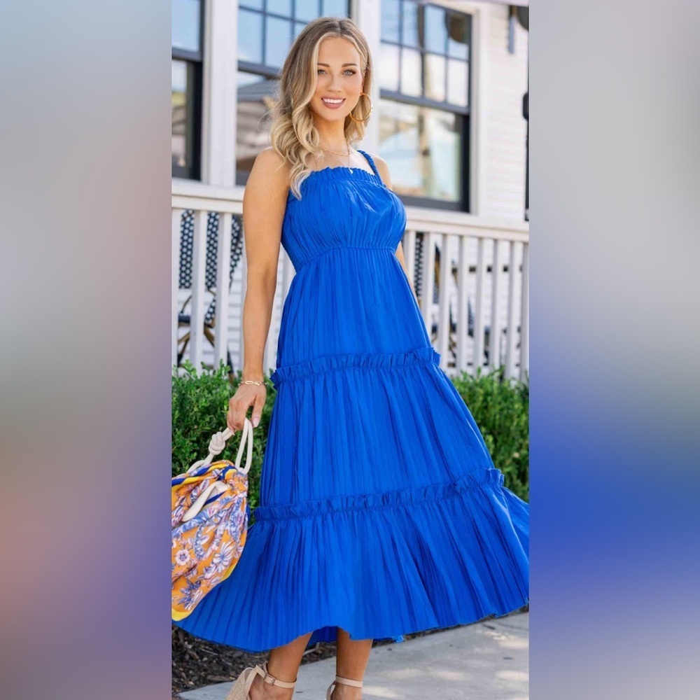 PINCH Pleated Dress NWT Size‎ Large